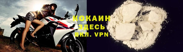 сатива Баксан