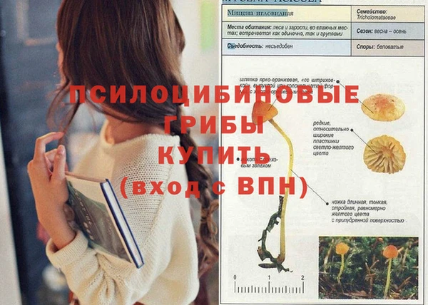 мяу мяу мука Армянск